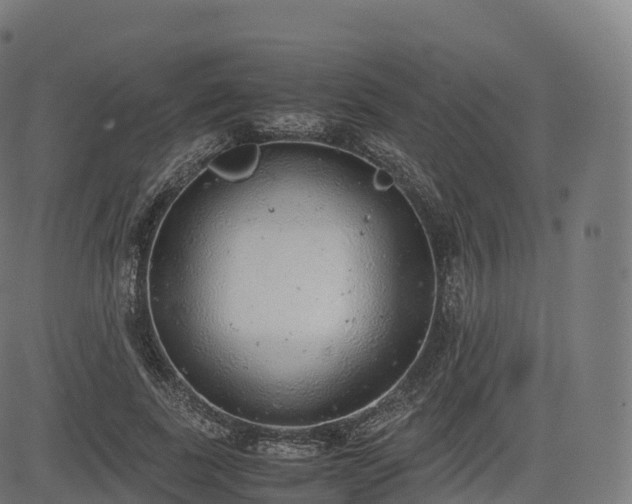 X0000085250739200703091257