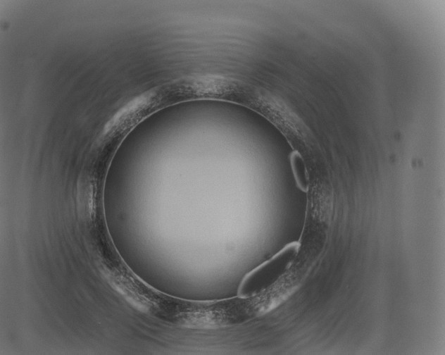 X0000085250740200703091257