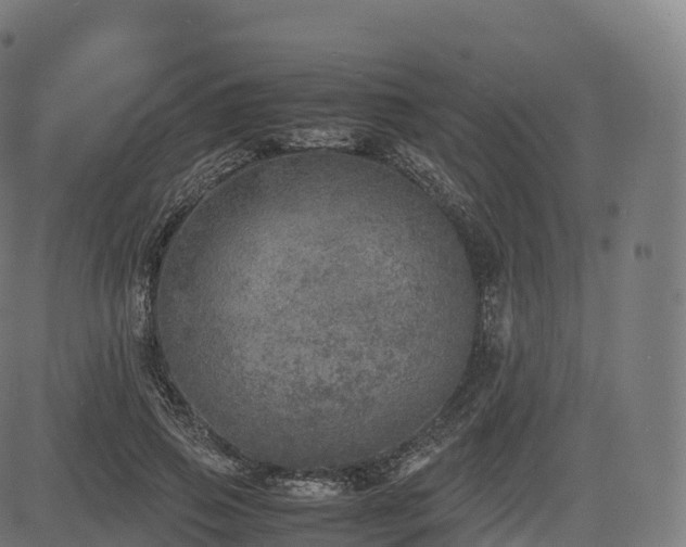 X0000085250741200703091257