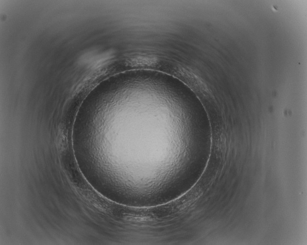 X0000085250743200703091257