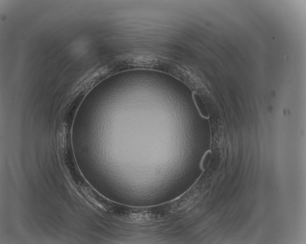 X0000085250744200703091257