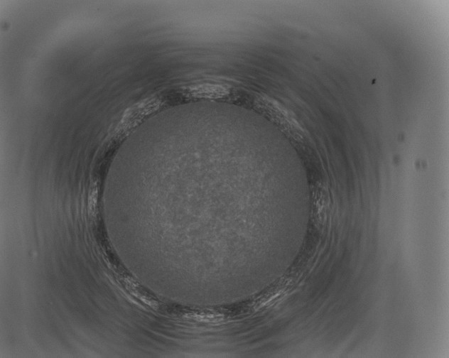 X0000085250745200703091257