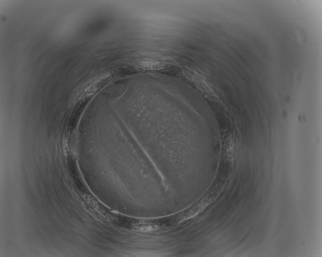 X0000085250746200703091257