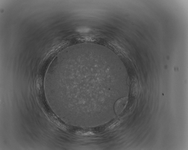 X0000085250747200703091257