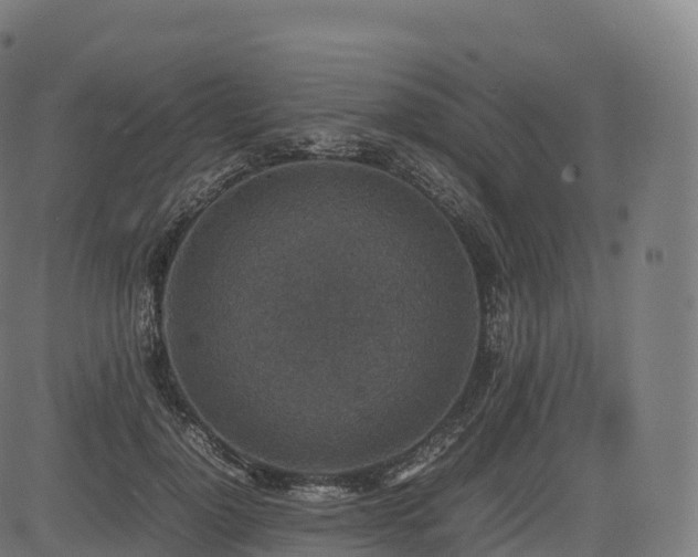 X0000085250748200703091257