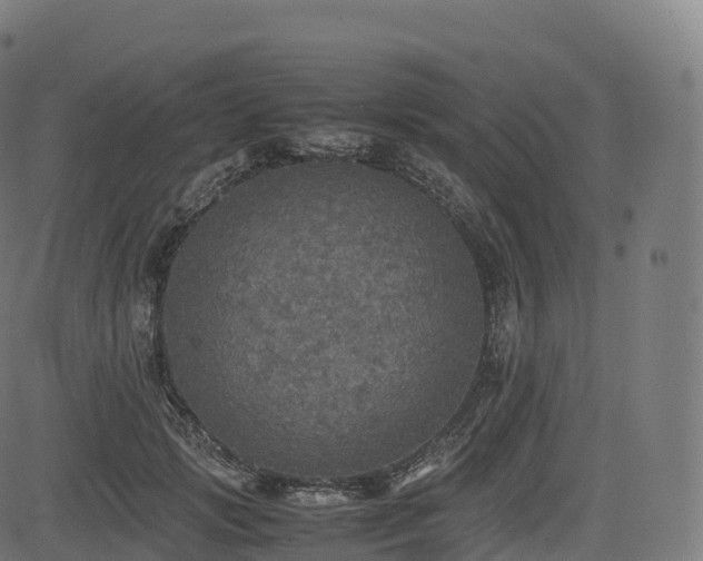 X0000085250749200703091257