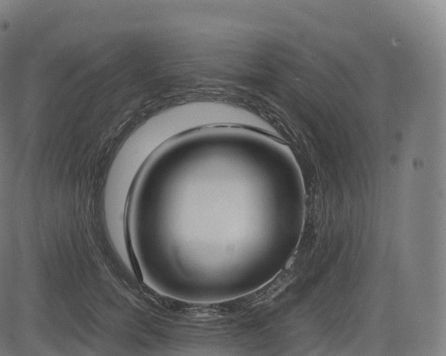 X0000085250750200703091257