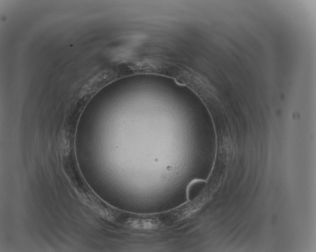 X0000085250751200703091257