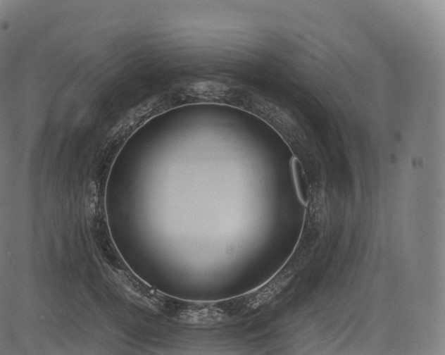 X0000085250752200703091257