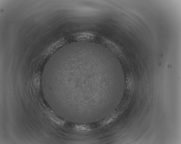 X0000085250753200703091258