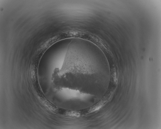 X0000085250754200703091258