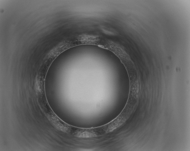 X0000085250755200703091258