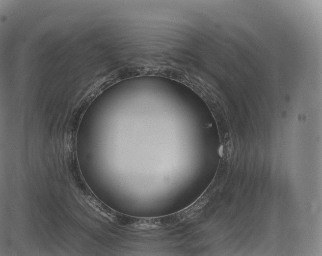 X0000085250756200703091258