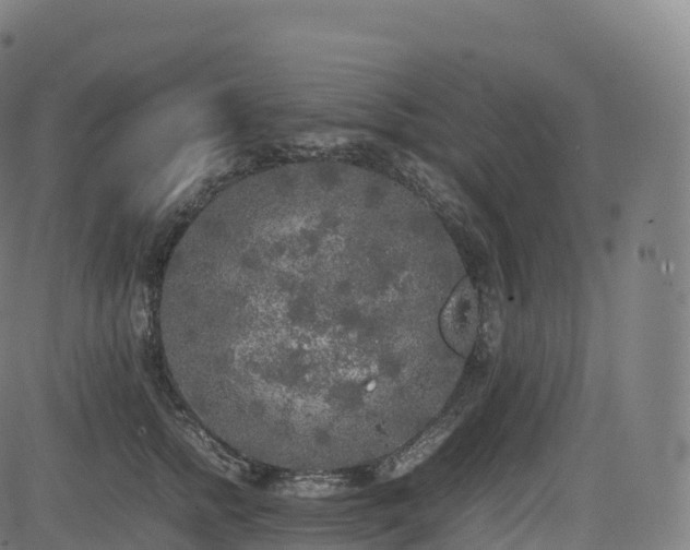 X0000085250758200703091258