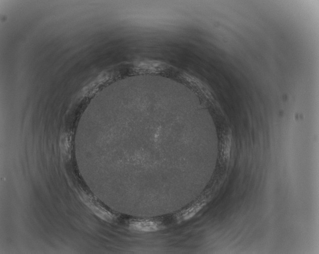 X0000085250759200703091258