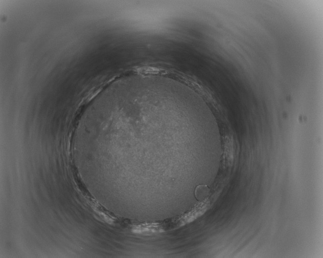 X0000085250761200703091258