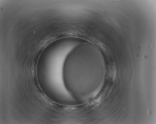 X0000085250762200703091258