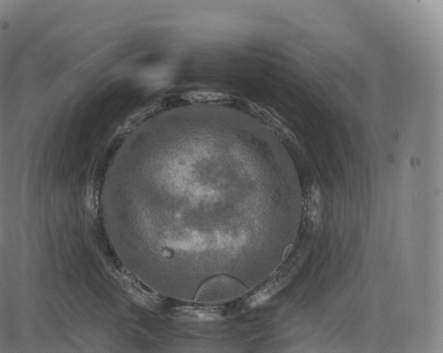 X0000085250763200703091258