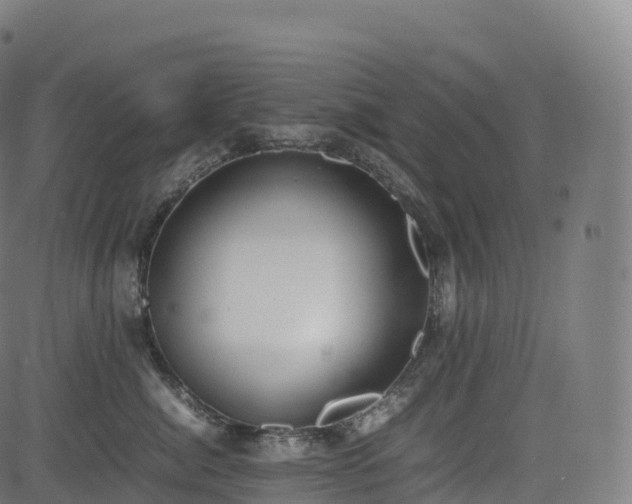 X0000085250764200703091258