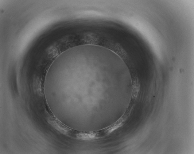 X0000085250765200703091258