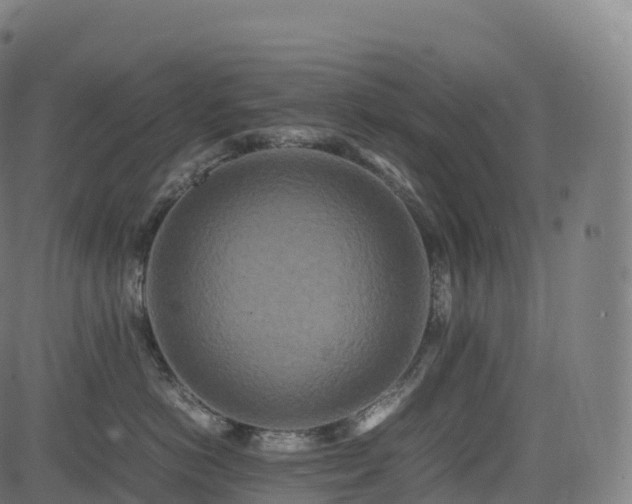 X0000085250766200703091258