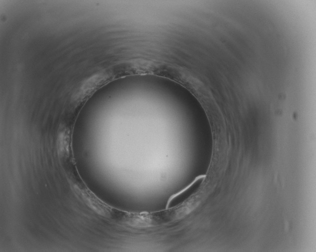 X0000085250768200703091258