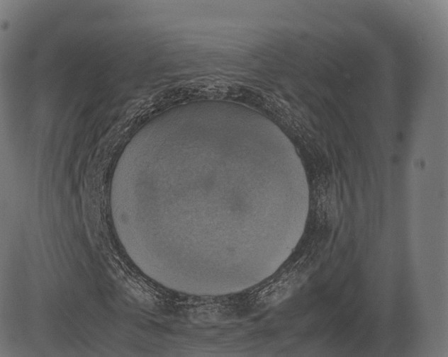 X0000085250769200703091257