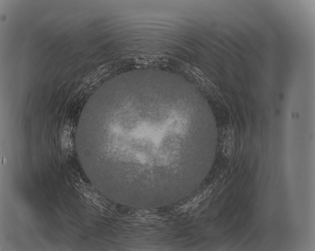 X0000085250770200703091257