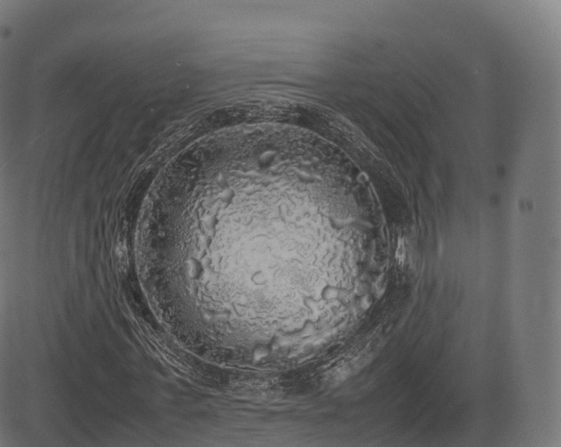 X0000085250771200703091257