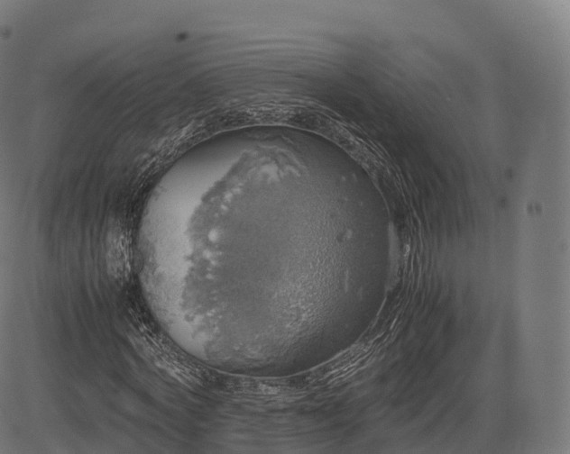 X0000085250772200703091257