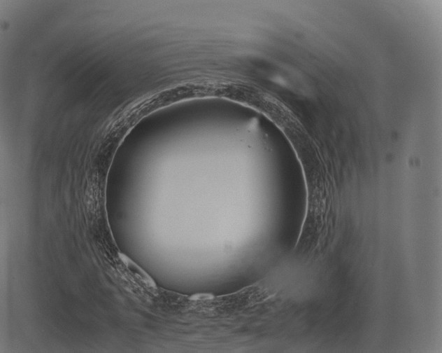 X0000085250773200703091257