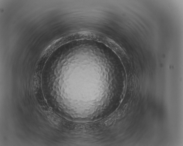 X0000085250776200703091257