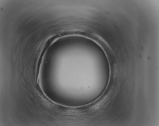 X0000085250777200703091257