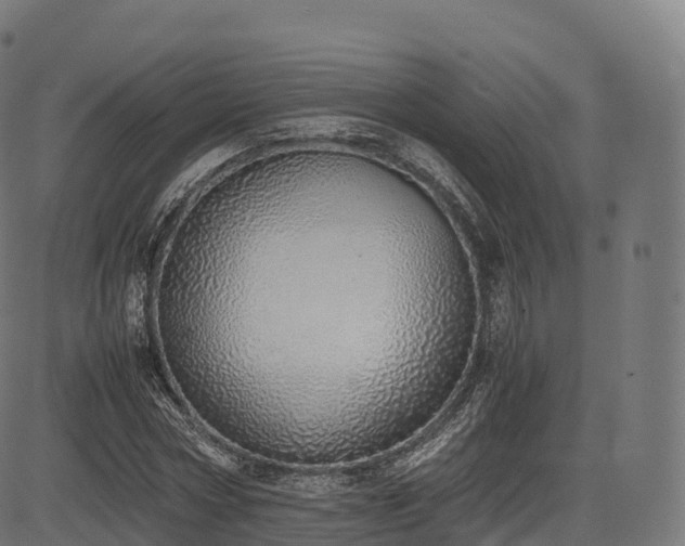 X0000085250778200703091257