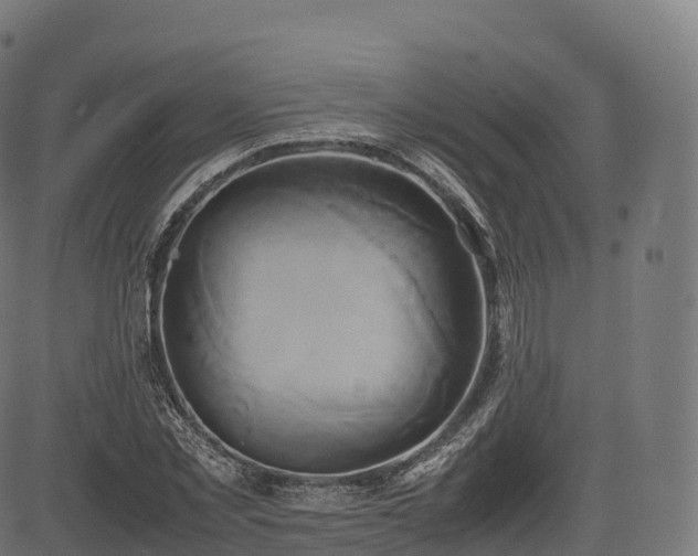 X0000085250781200703091257