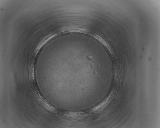 X0000085250782200703091257