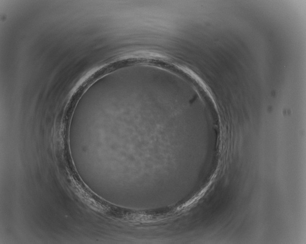 X0000085250783200703091257