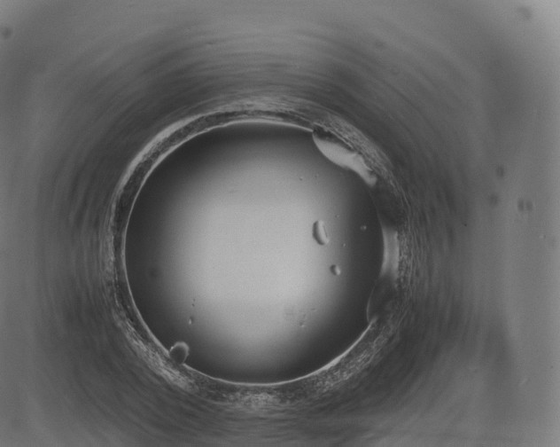 X0000085250784200703091257