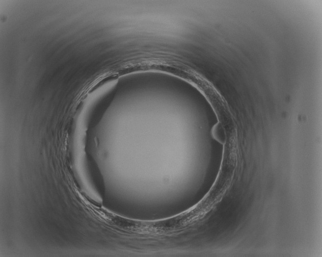 X0000085250785200703091257