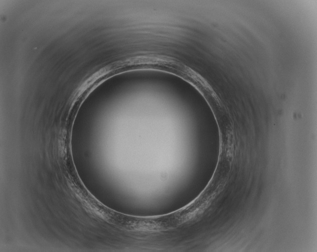 X0000085250786200703091257