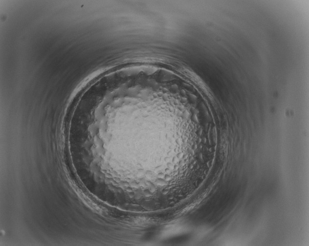 X0000085250787200703091257