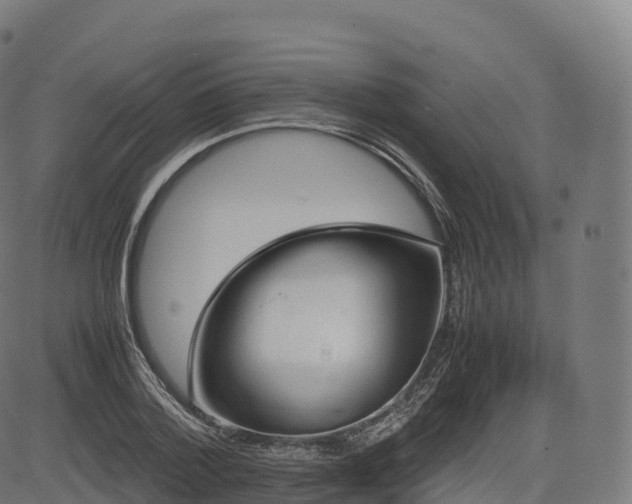 X0000085250788200703091257