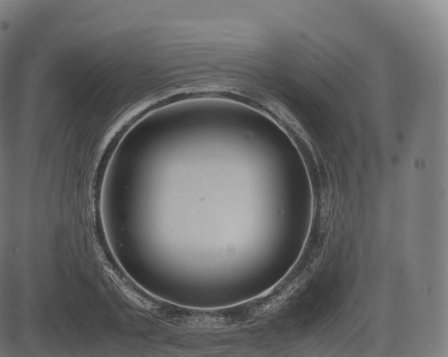 X0000085250789200703091257