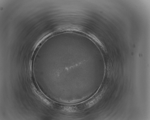 X0000085250790200703091257