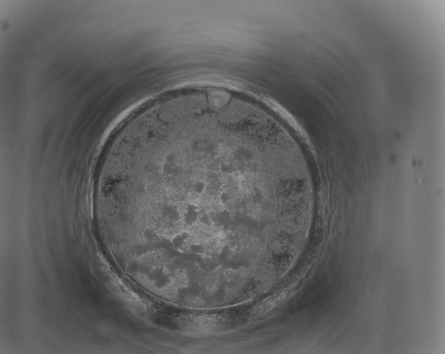 X0000085250791200703091257