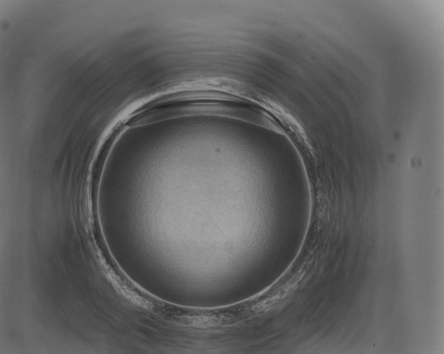 X0000085250792200703091257