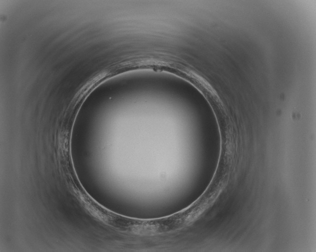 X0000085250793200703091257