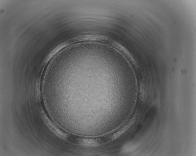 X0000085250794200703091257