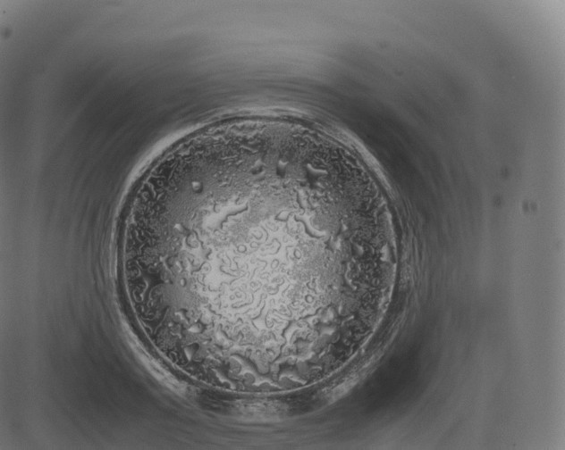 X0000085250795200703091257