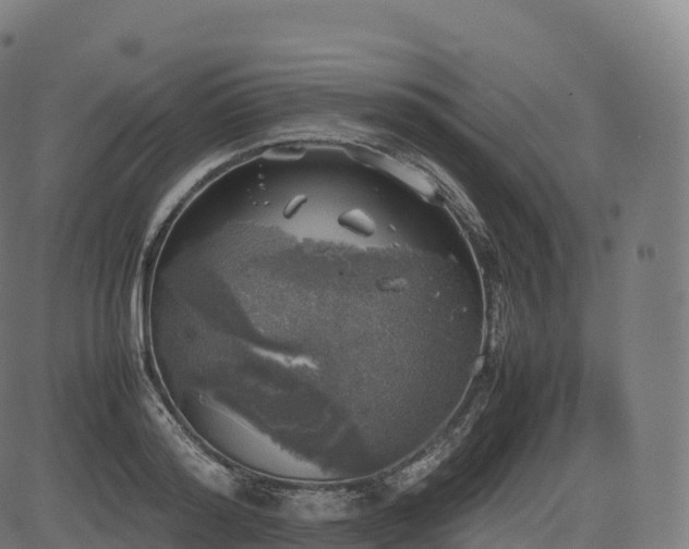 X0000085250796200703091257